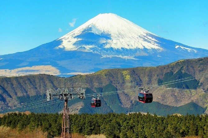 Hakone Full-Day Private Tour - A Deep Dive into the Hakone Full-Day Private Tour