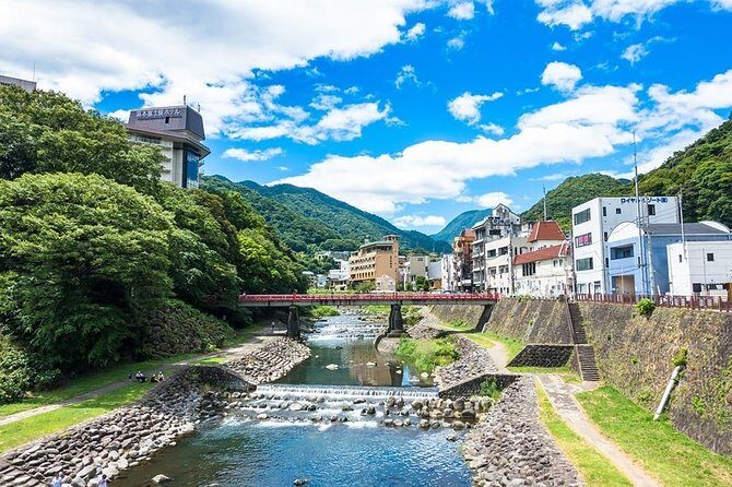 Hakone Full-Day Private Tour(Tokyo DEP.) with Government-Licensed Guide - Who Should Consider This Tour?