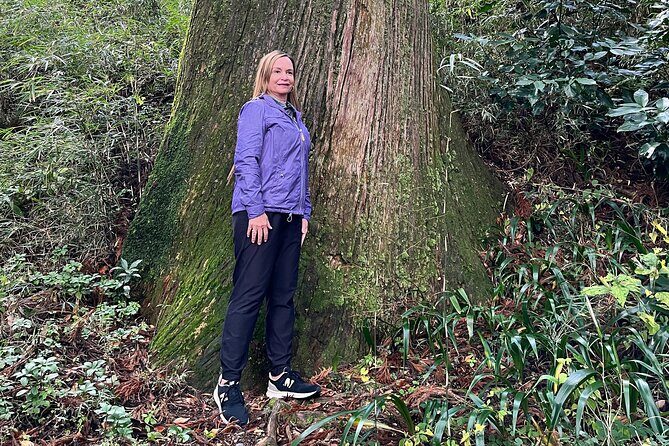 Hakone Full Day Tour with Guide and Vehicle - FAQ
