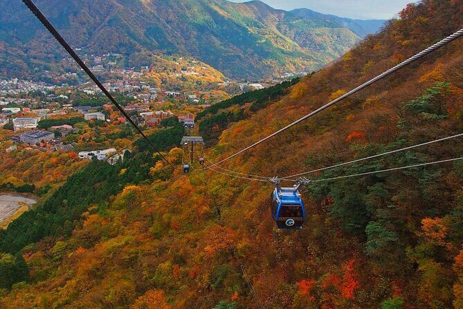 Hakone Private Day Trip with English Speaking Driver From Tokyo - The Sum Up