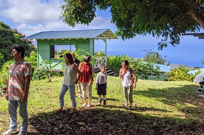 Hala Tree Coffee Farm Tour - Final verdict