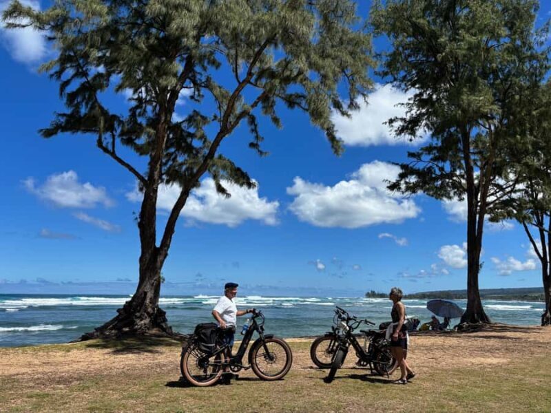 Haleiwa: North Shore Guided Electric Bike Tour - The Group Size and Tour Experience