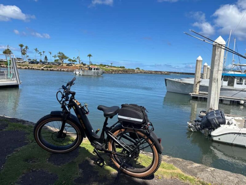 Haleiwa: North Shore Guided Electric Bike Tour - The Sum Up