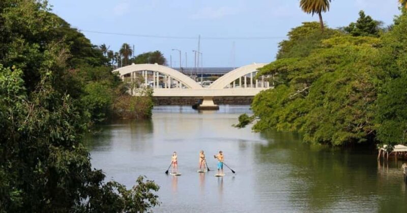 Haleiwa: Stand-Up Paddleboard Rental With Delivery & Pick Up - Key Points