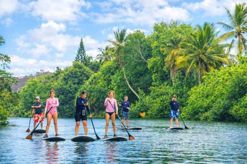 Haleiwa: Stand-Up Paddleboard Rental With Delivery & Pick Up - The Sum Up