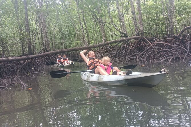 Half-day 4 Hours Kilim Mangrove Kayaking (Without hotel pickups) - Exploring Langkawi’s Kilim Mangrove Kayaking Tour: An Authentic Adventure