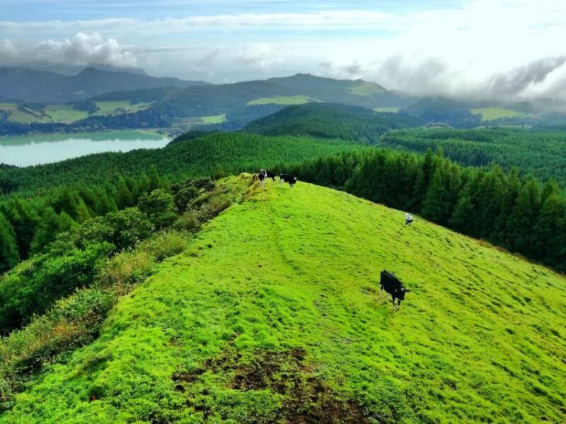 Half-Day 4X4 Tour Sete Cidades. Off the beaten Track. - FAQ