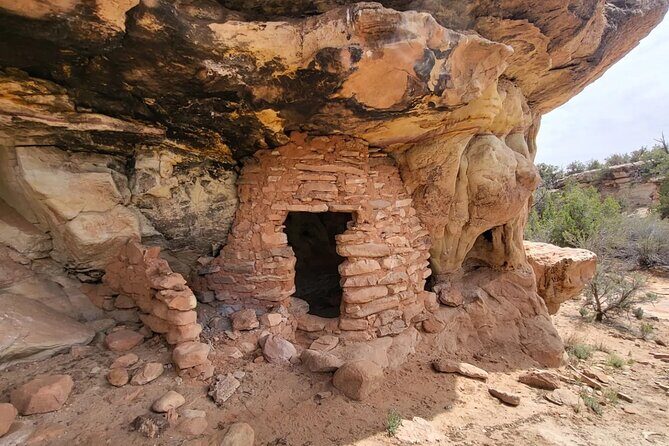 Half Day 4x4 UTV Tour of Bears Ears - Who Would Love This Tour?