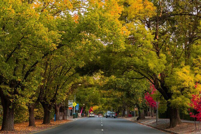 Half Day Adelaide City Highlights Mt Lofty & Hahndorf Tour Join Us Tour - Key Points