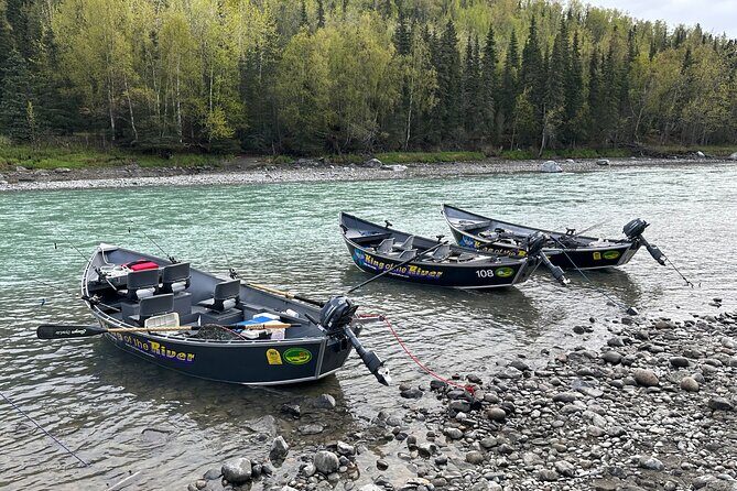 Half day Alaska Salmon Fishing on the Kenai Peninsula - The Sum Up