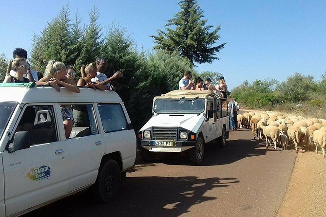 Half-Day Algarve Countryside and Villages Jeep Safari - Who Should Consider This Tour?