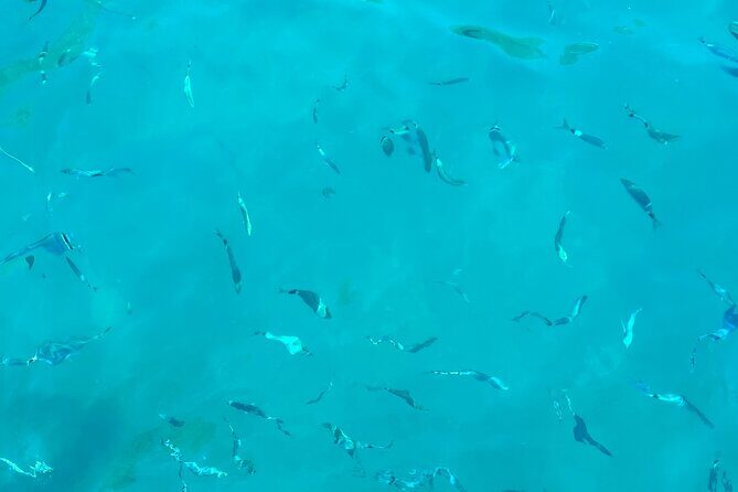 Half-Day Amalfi Coast Boat & Snorkeling Small Group Tour - Value for Money