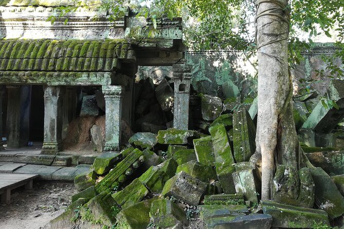 Half Day Angkor Wat Sunrise Private Tour - A closer look at what makes this tour special