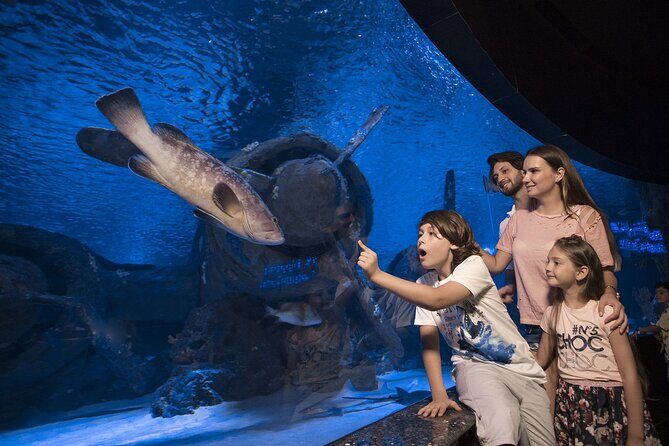 Half Day Antalya Aquarium Tour And Wax Museum - Key Points