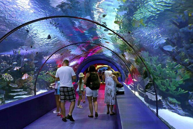Half Day Antalya Aquarium Tour And Wax Museum - The Experience: What to Expect