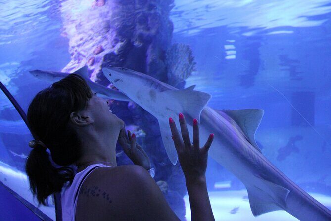 Half Day Antalya Aquarium Tour And Wax Museum - Who Is This Tour Best For?
