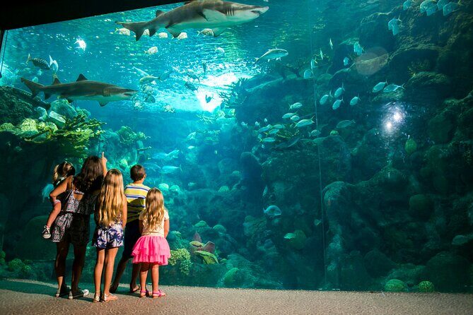 Half Day Antalya Aquarium Tour And Wax Museum - Final Thoughts