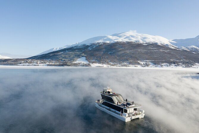 Half Day Arctic Fjord Cruise from Tromso - Key Points