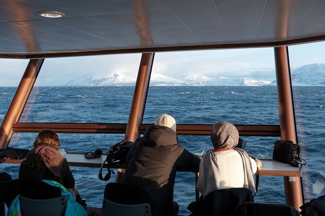 Half Day Arctic Fjord Cruise from Tromso - FAQ