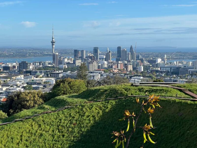 Half-Day Auckland City Highlights Tour with Hotel Pickup - Key Points