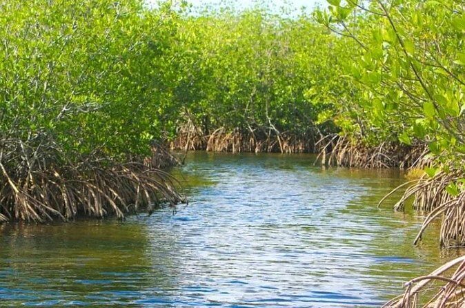 Half-Day Backwater Fishing in Naples, Florida - Frequently Asked Questions