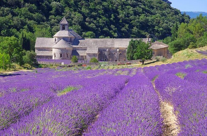 Half-Day Baux de Provence and Luberon Tour from Avignon - Why This Tour Is a Great Choice