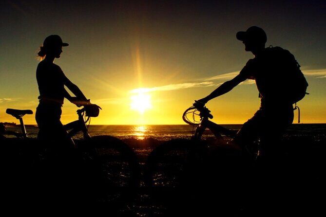 Half Day Bicycle Rental in Treasure Island - Who Is This Tour Best For?