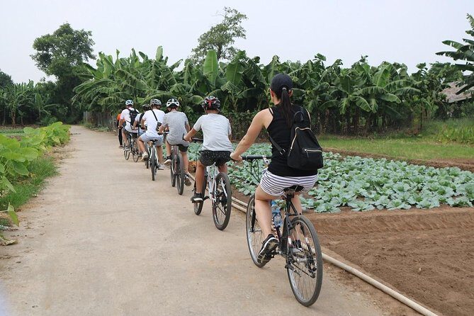 Half-Day Bicycle Tour Combine City & Countryside + Train Street - The Sum Up