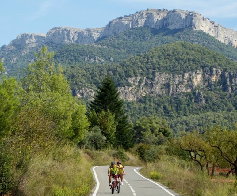 Half-Day Bike Tour from Salou - An In-Depth Look at the Cycling Experience