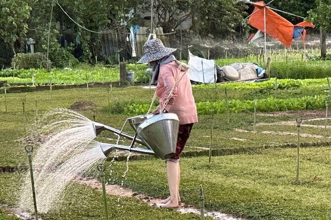 Half day Bike Tour in Hi An Countryside - A Detailed Look at the Half Day Bike Tour in Hoi An Countryside