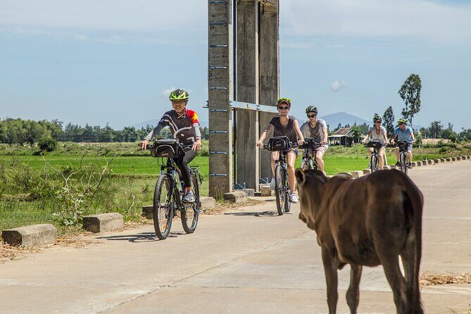 Half-Day Bike Tour in the Hoi An Countryside - Experience the Charm of Vietnam’s Countryside on a Half-Day Bike Tour in Hoi An
