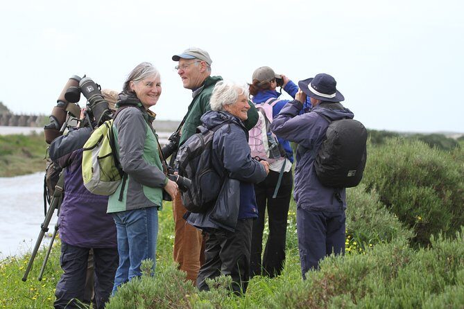 Half-day birdwatching at the Abicada marshed - A Detailed Look at the Birdwatching Experience
