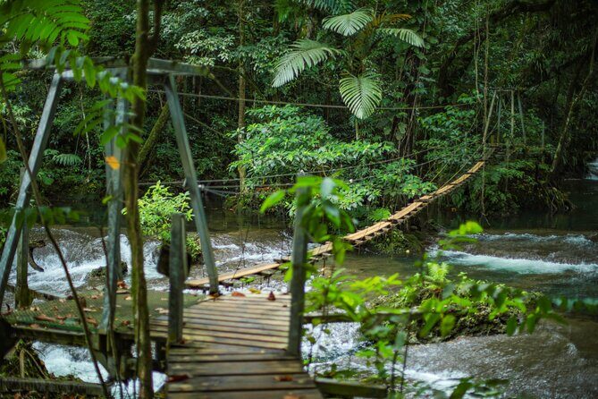 Half Day Blue Lagoon and Cascades Tours - A Deep Dive into the Experience