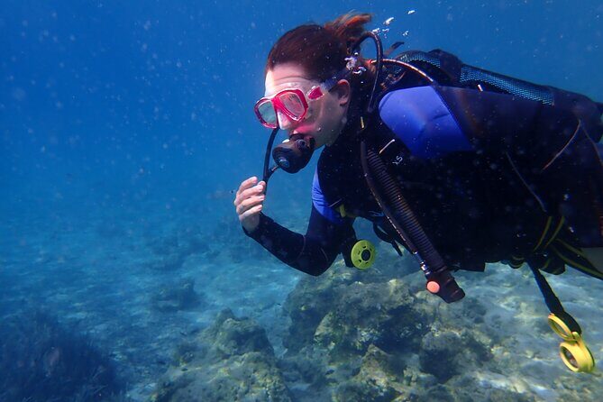 Half day boat diving experience for beginners in Kos Greece - Who Is This Tour Best Suited For?