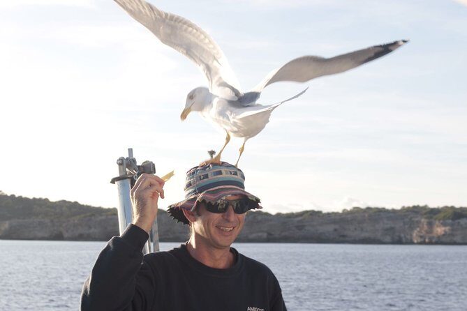 Half-Day Boat Tour along The South Coast of Menorca - Who Is This Tour Best For?
