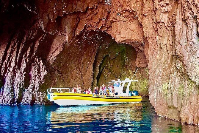 Half Day Boat Trip to Scandola Calanche de Piana - The Sum Up