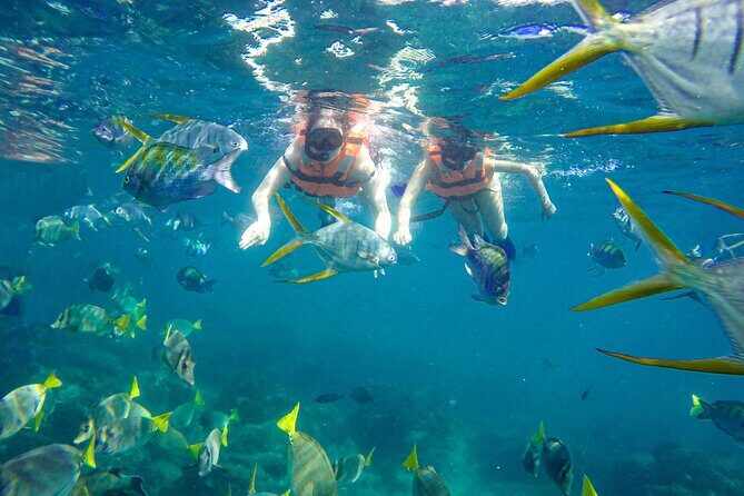Half Day Cabo Snorkel Adventure with Lunch and Open Bar - Practical Details: What Travelers Should Know