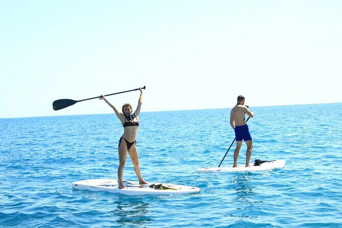 Half Day Cabo Snorkel Adventure with Lunch and Open Bar - Who Should Consider This Tour?
