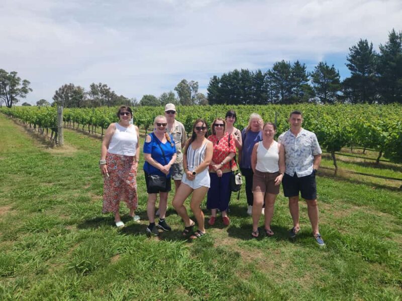 Half-Day Canberra Winery Tour - The Value Proposition: Is It Worth It?