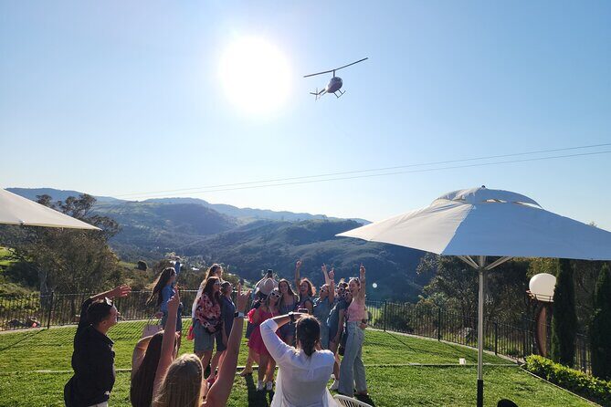 Half-Day Canberra Winery Tour to Murrumbateman /w lunch - The Sum Up