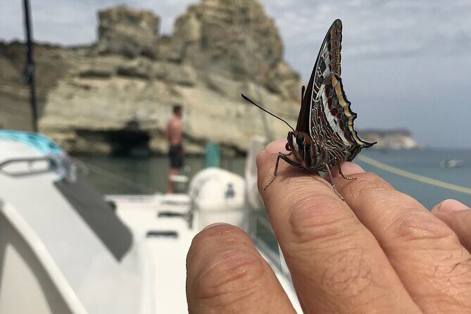 Half day Catamaran Morning Cruise in Kleftiko - Is This Tour Worth It?