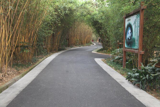 Half-Day Chengdu Panda Research Base Private Tour - Detailed Breakdown of the Itinerary