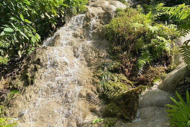 Half Day Chiang Mai Sticky Waterfall and Hotel Transfer - A Closer Look at the Tour Experience
