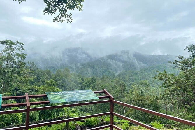 Half Day Chiang Mai Sticky Waterfall and Hotel Transfer - FAQ