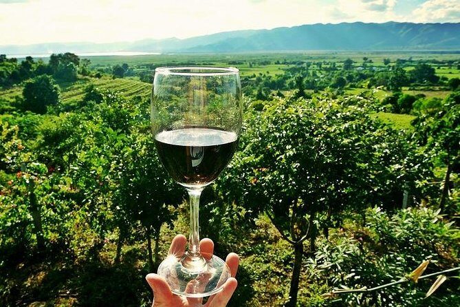 Half-Day Chianti Wine and Olive Oil Tour from Viareggio - Exploring the Itinerary: What to Expect from the Tour