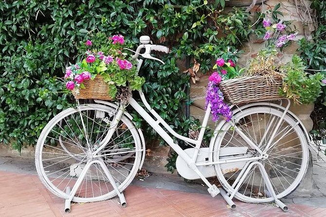 Half-Day Chianti Wine and Olive Oil Tour from Viareggio - Practical Details: What Travelers Need to Know