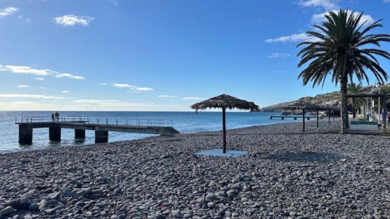 Half-Day Country Market Tour on Madeira Island - Final Thoughts