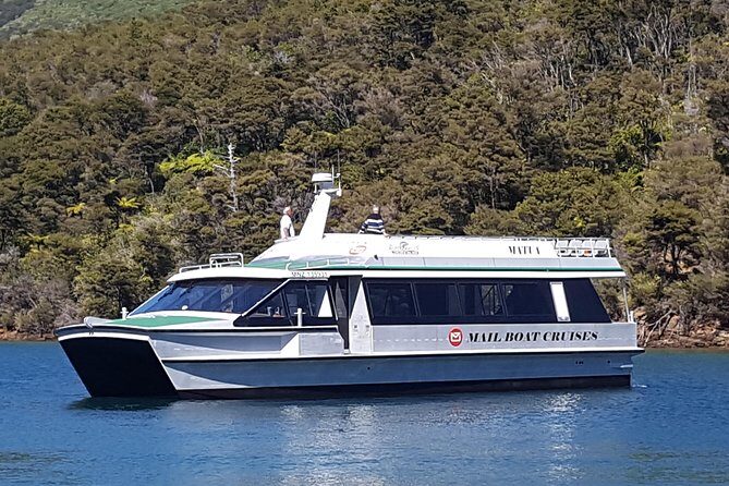 Half-Day Cruise in Marlborough Sounds from Picton - Key Points