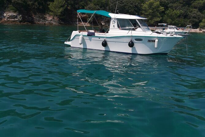 Half-Day Cruise of Oljak and Preko - The Sum Up