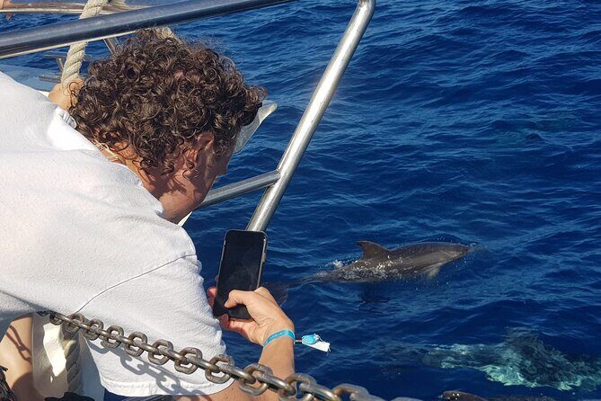 Half-Day Cruise Tour-Dolphin and Whale Watching - Exploring the Itinerary in Detail